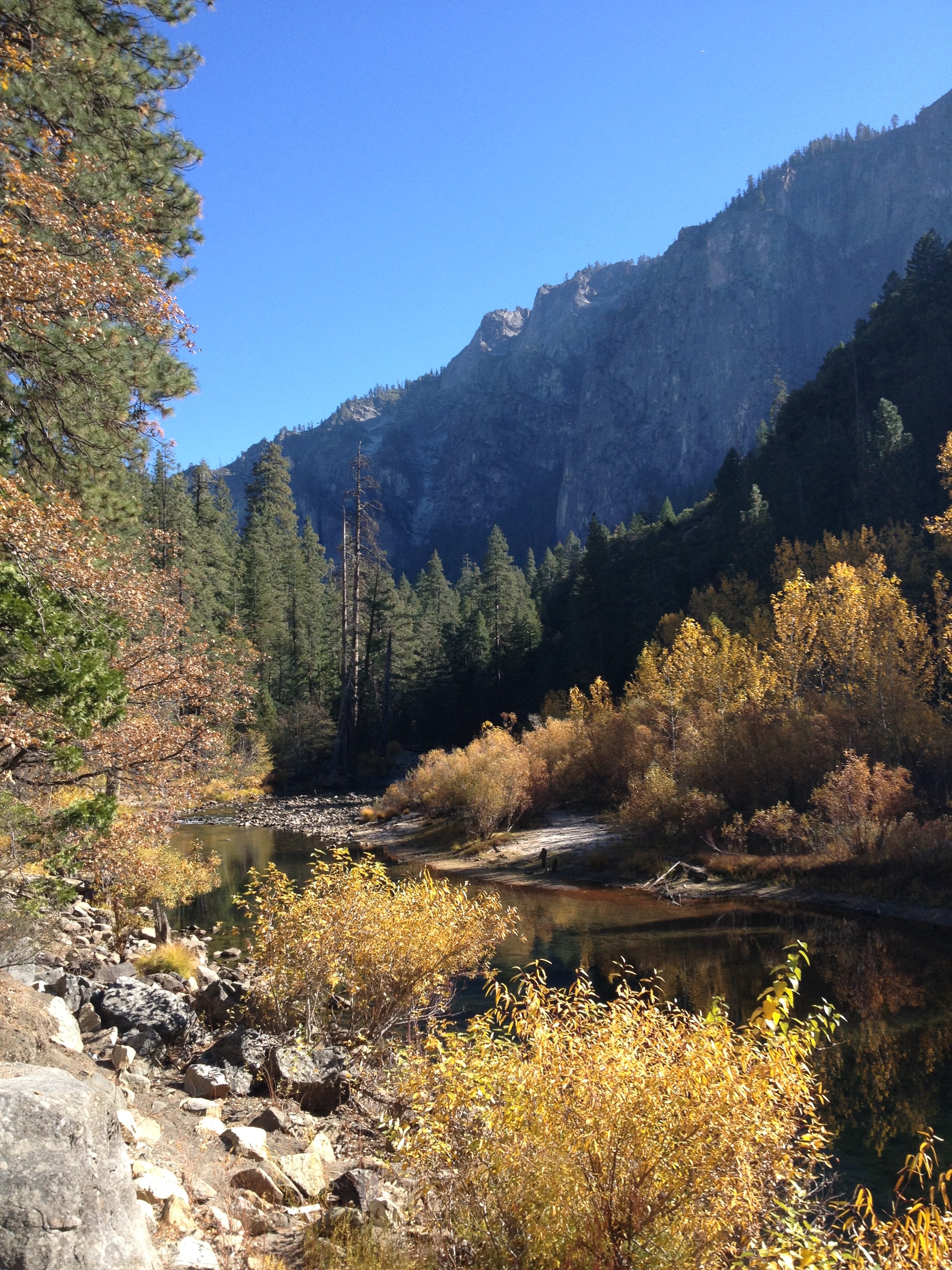 Beautiful Yosemite Valley